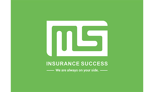 MS Financial Service