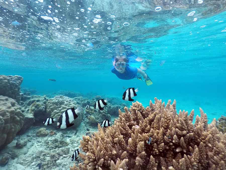 Snorkel in Rarotonga Cook Islands