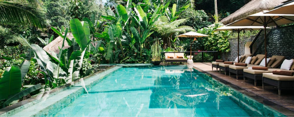 Tropical garden with pool and lounge chairs