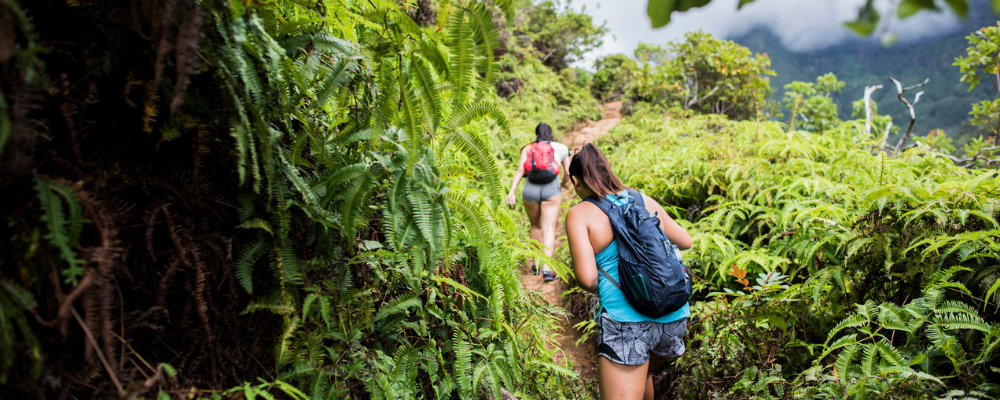 Two women hiking up tropical trail