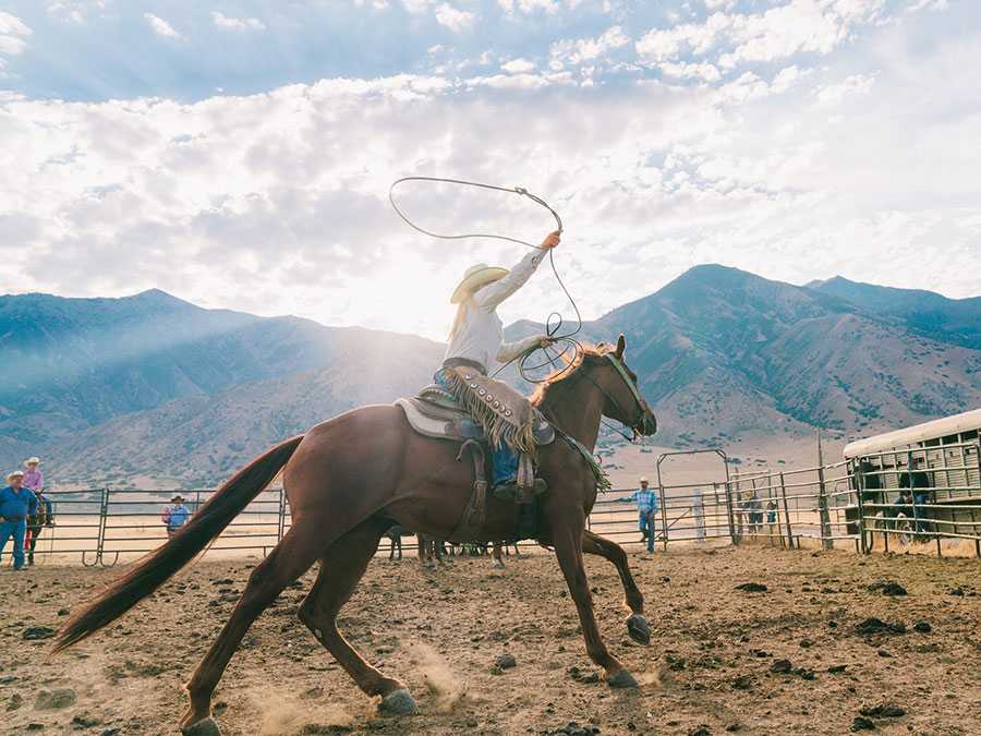 cowgirl on a horse doing rodeo tricks