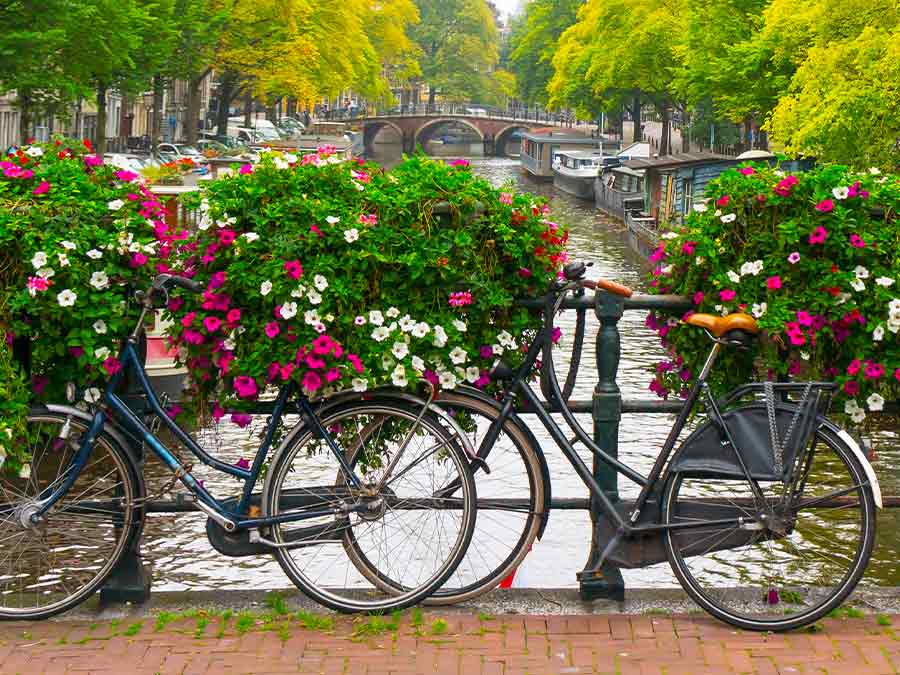 Bikes parked on a canal bridge in Amsterdam