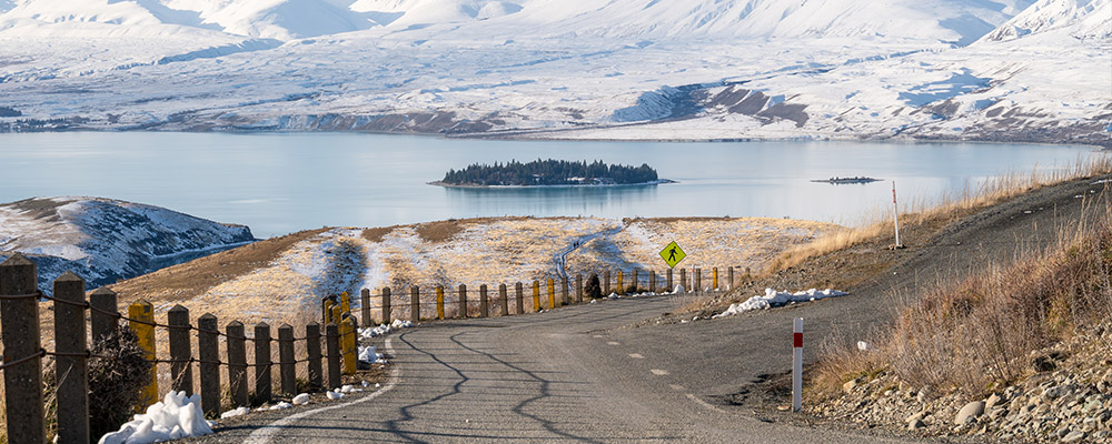 New Zealand road