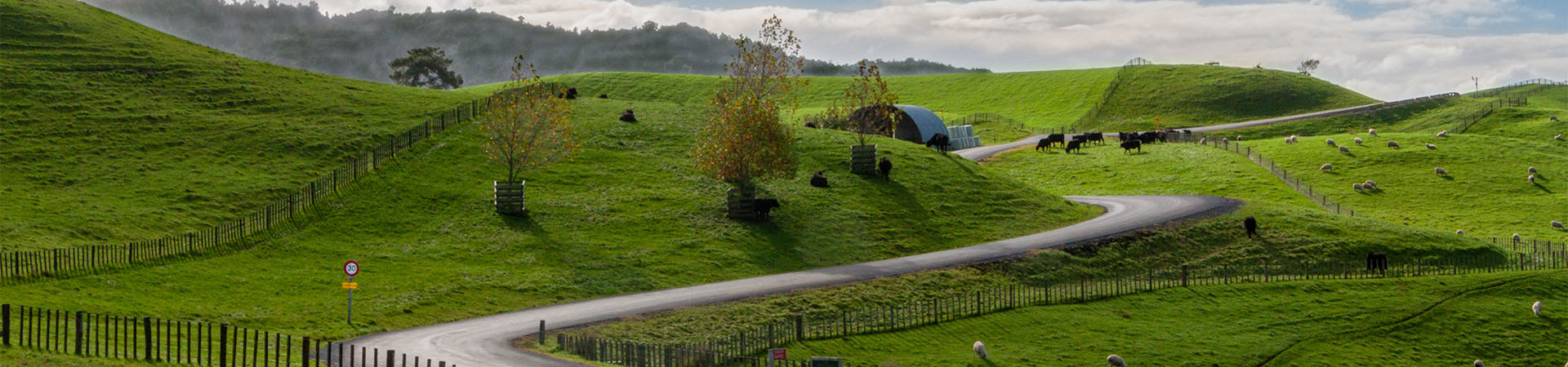 Hobbiton, The Shire - Matamata, New Zealand