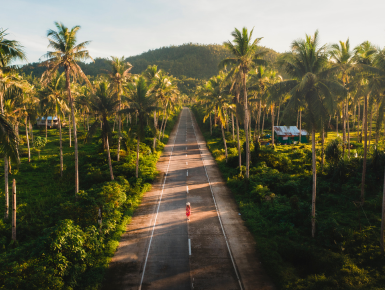 Hawaii highway with palm trees